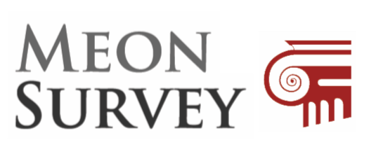 The Meon Survey Partnership